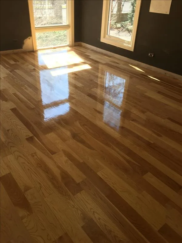 Protective finish reflecting daylight on wood flooring